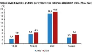 TÜİK: Girişimlerin İnternet Erişim Oranı Yüzde 96