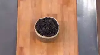 Yalova Aronyası nedir, faydaları nelerdir?