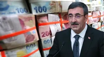 Cumhurbaşkanı Yardımcısı Cevdet Yılmaz: Gelir düzeyine göre vergilendirme öngörüyoruz