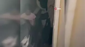 Denizyoluyla yurtdışına kaçmaya çalışan 88 göçmen yakalandı