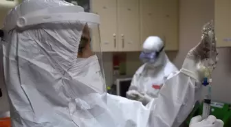 Son dakika Türkiye'de eris varyantı hangi şehirlerde görüldü? Eris varyantı Türkiye'de var mı? Bakan Koca'dan açıklama!