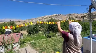 Tunceli'de Vatandaşlar Sebzelerini Kurutarak Kış Hazırlığı Yapıyor