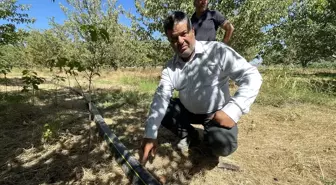 Antalya'da Ekili Alanların Sulama Boruları Kesici Aletlerle Zarar Gördü