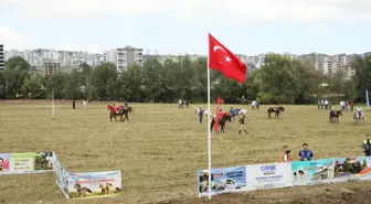 Samsun'da Rahvan At Yarışları Festivali Düzenlendi