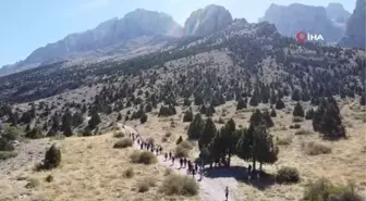 Bu kampa telefon ve tablet giremiyor