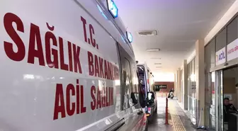 Samsun'da fındık toplarken elini arı sokan genç kız hayatını kaybetti