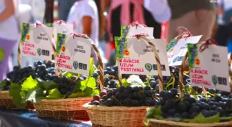 Karabağlar Belediyesi 11. Kavacık Üzüm Festivali'ni Düzenliyor