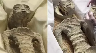 Meksika'daki uzaylı fosillerinin gerçekte kek olduğu iddiası