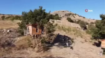 Karadeniz değil Yozgat... Meşe ağacının üzerine yaptığı evler dikkat çekiyor