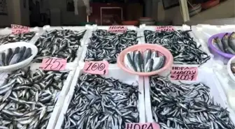 Yerli Hamsi Pazar İlçesinde Tezgahlarda