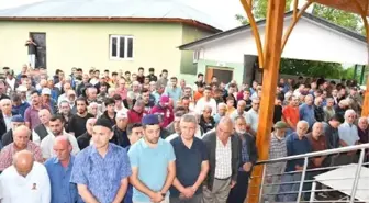 Orman İşçisi Tomruk Altında Hayatını Kaybetti