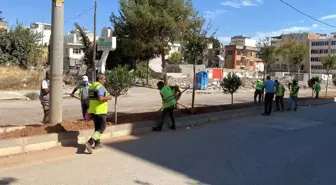 Adıyaman Belediyesi Refüj ve Kavşaklarda Bakım ve Peyzaj Çalışmaları Yapıyor