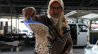 Çeltikdere Köyünde Üretilen Pirinç Yoğun Talep Görüyor