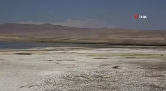 Kuş Cenneti Erçek Gölü'nde Büyük Su Kaybı