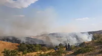 Siirt'te Fıstık ve Üzüm Bağında Yangın