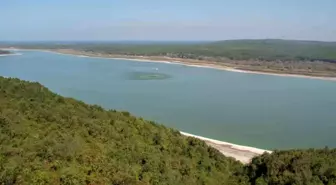 Arnavutköy'de ormanlık alanda çıkan yangın söndürüldü, 1 hektarlık alan zarar gördü