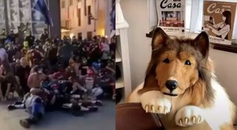 Berlin'de kendilerini köpek olarak tanımlayan yüzlerce insan bir araya geldi
