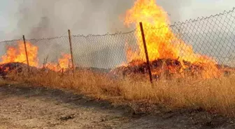 Siirt'te fıstık ve üzüm bahçesinde yangın çıktı