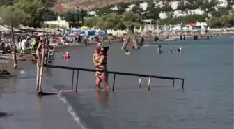 Bodrum'da yaz sezonu uzadı, vatandaşlar sahillere akın etti