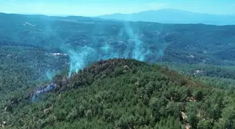 Bursa'nın Harmancık ilçesinde orman yangını çıktı