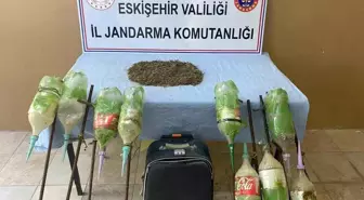 Eskişehir'de Ormanlık Alanda Uyuşturucu Operasyonu