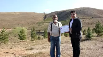 Gümüşhane'de Yangında Fidanlarını Kurtarmak İsterken Hayatını Kaybetti