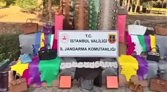 Kaçak imalathaneye baskın! Timsah, deve kuşu, yılan derileri ele geçirildi