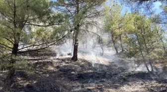 Kastamonu'da Orman Yangını Kontrol Altına Alındı