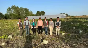 Vize Tarım ve Orman Müdürlüğü tarafından tarla günü etkinliği düzenlendi