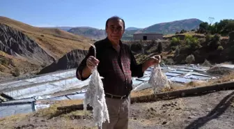 Tunceli'nin Pülümür ilçesinde doğal kaynak tuzları büyük rağbet görüyor