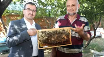 Çekerek'te Uysal Arılarla Tonlarca Bal Üretiliyor