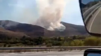 Çankırı'da ağaçlık alanda yangın çıktı