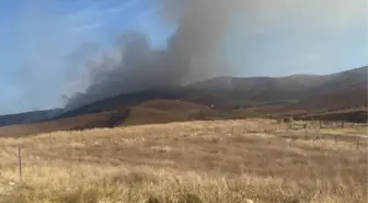 Çankırı'da ormanlık alandaki yangın söndürüldü