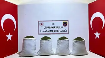 Diyarbakır'da yapılan operasyonda 117 kilo esrar ele geçirildi