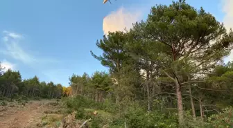 Hatay'da ormanlık alanda çıkan yangın kontrol altına alınmaya çalışılıyor