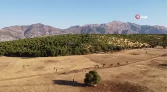 Adıyaman'da 2100 Yıllık Tarihi Eserler Helikopter ile Taşındı