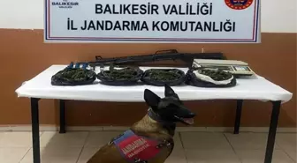 Balıkesir Gömeç'te 500 Gram Esrar Ele Geçirildi