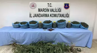 Mardin'de Uyuşturucu Operasyonunda 1 Şüpheli Tutuklandı