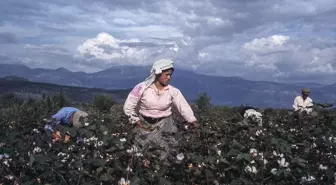 Ara Güler Müzesi'nin Yeni Sergisi 'Renkli Anadolu' Sanatseverlerle Buluşuyor