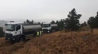 Çankırı'da Ormanlık Alanda Çıkan Yangın Söndürüldü