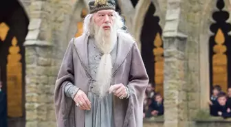 Dumbledore gerçekte öldü mü? Harry Potter Dumbledore ölüm sebebi ne? Michael Gambon neden öldü?