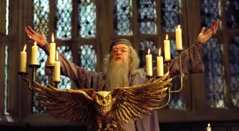 Harry Potter Albus Dumbledore kimdir, tam adı ne? Albus Dumbledore sözleri! Dumbledore kaç yaşında?