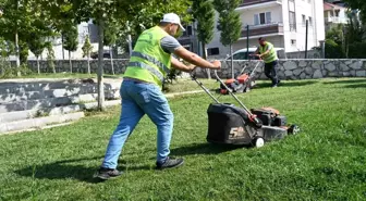 Soma Belediyesi Yeşil Alanlara Dikkat