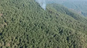 Hatay'da Orman Yangını Kontrol Altına Alınmaya Çalışılıyor