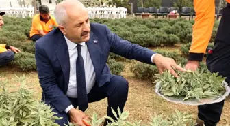 Gebze Belediye Başkanı Şifa Kapısı Tıbbi Aromatik Bitkiler Parkını Ziyaret Etti