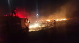 Siirt'te 500 dönüm alan zarar gören anız yangını söndürüldü