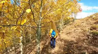 Gümüşhane Dağlarında Sonbaharın Renk Şöleni