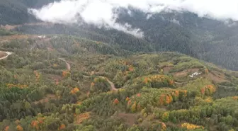 Kastamonu'da Sonbahar Renkleri