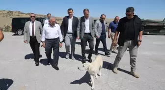 Kayseri Büyükşehir Belediyesi Molu'da Modern Kedi Köpek Evi İnşa Ediyor
