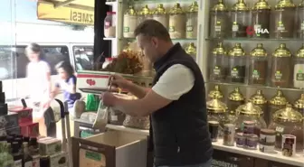Mevsim geçişlerini bu bitkiler koruyor